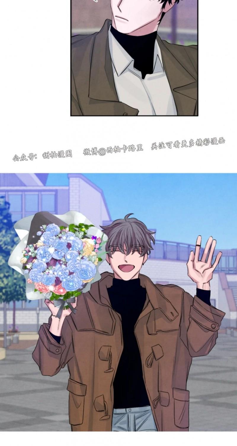 珊瑚绽放过程漫画,外传15图