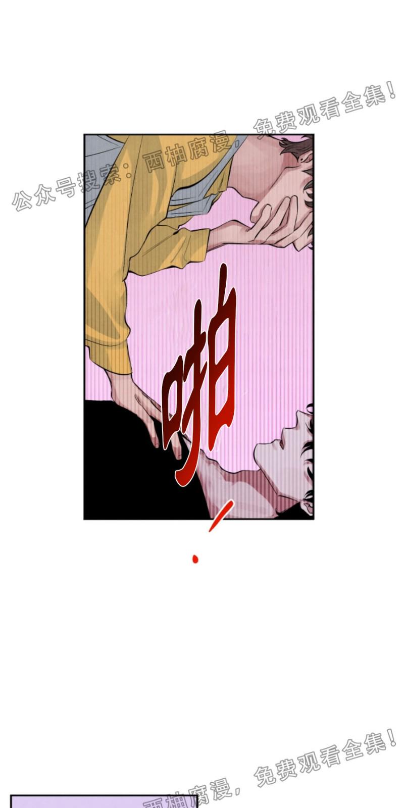 写出珊瑚的不同姿态漫画,第9话4图