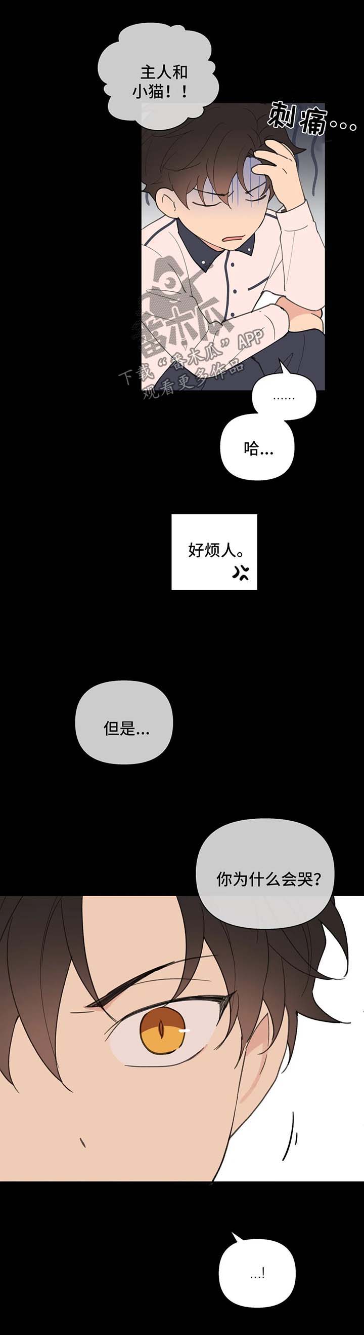 第67章：喜欢漂亮的2