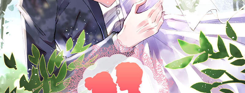 宠婚来袭宋安乔性格漫画,第3章：我们离婚吧3图