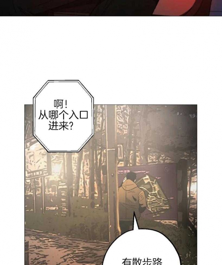 坠入爱河的女人智商为零漫画,第56话3图