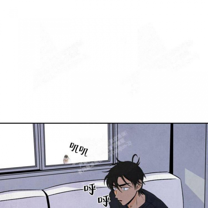 祝你好运是什么意思坏话还是好话漫画,第8话1图