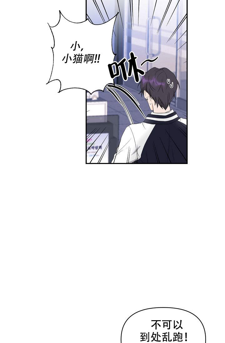老虎花漫画下拉式免费漫画,第2话3图
