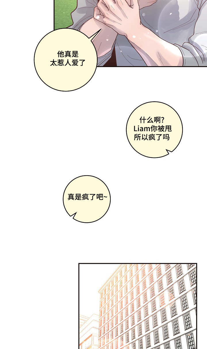 美国大选生变漫画,第30章：美好的景象3图
