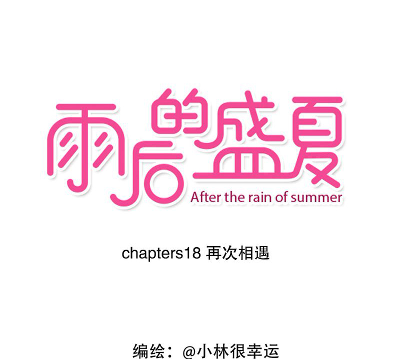雨后的盛夏的作文漫画,第18章：再次相遇1图