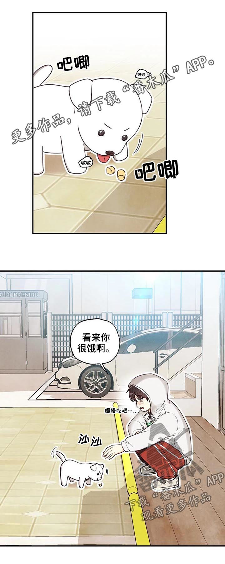 第61章：红线日0