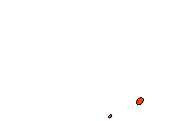 323