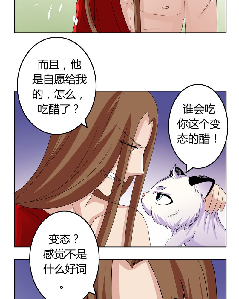 第17章：投票开始4