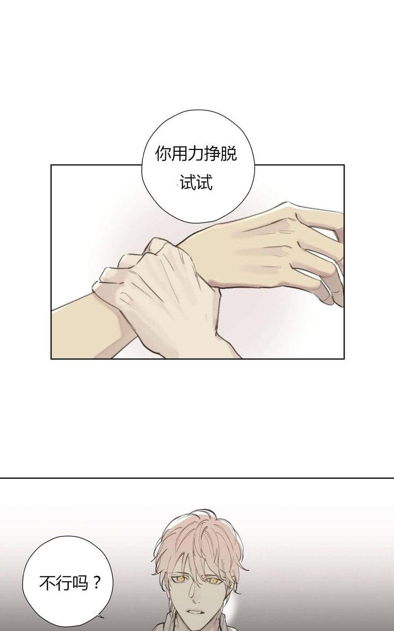 皇家纸牌漫画,第78-81话完结2图