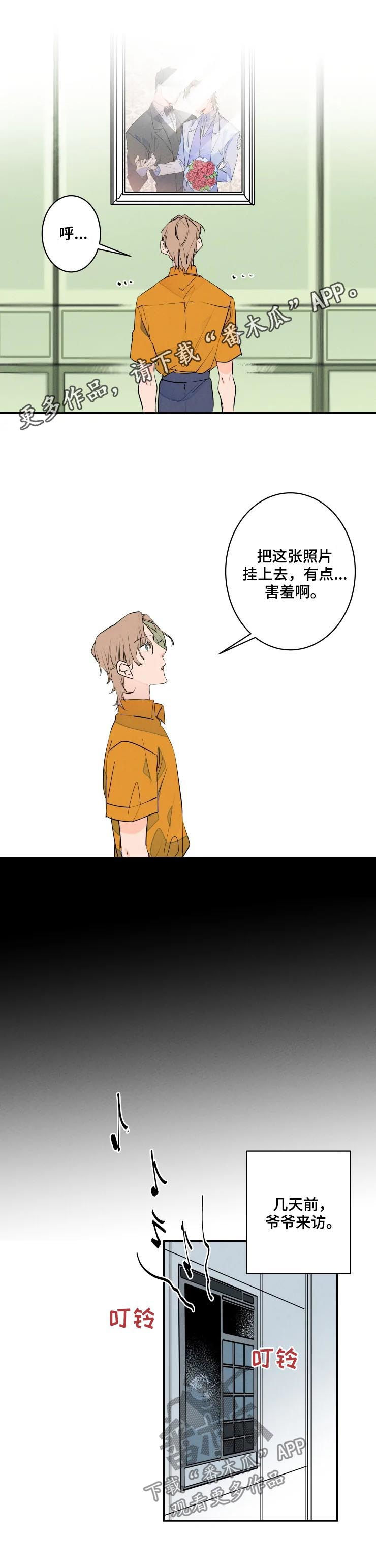 第51章：婚纱照0