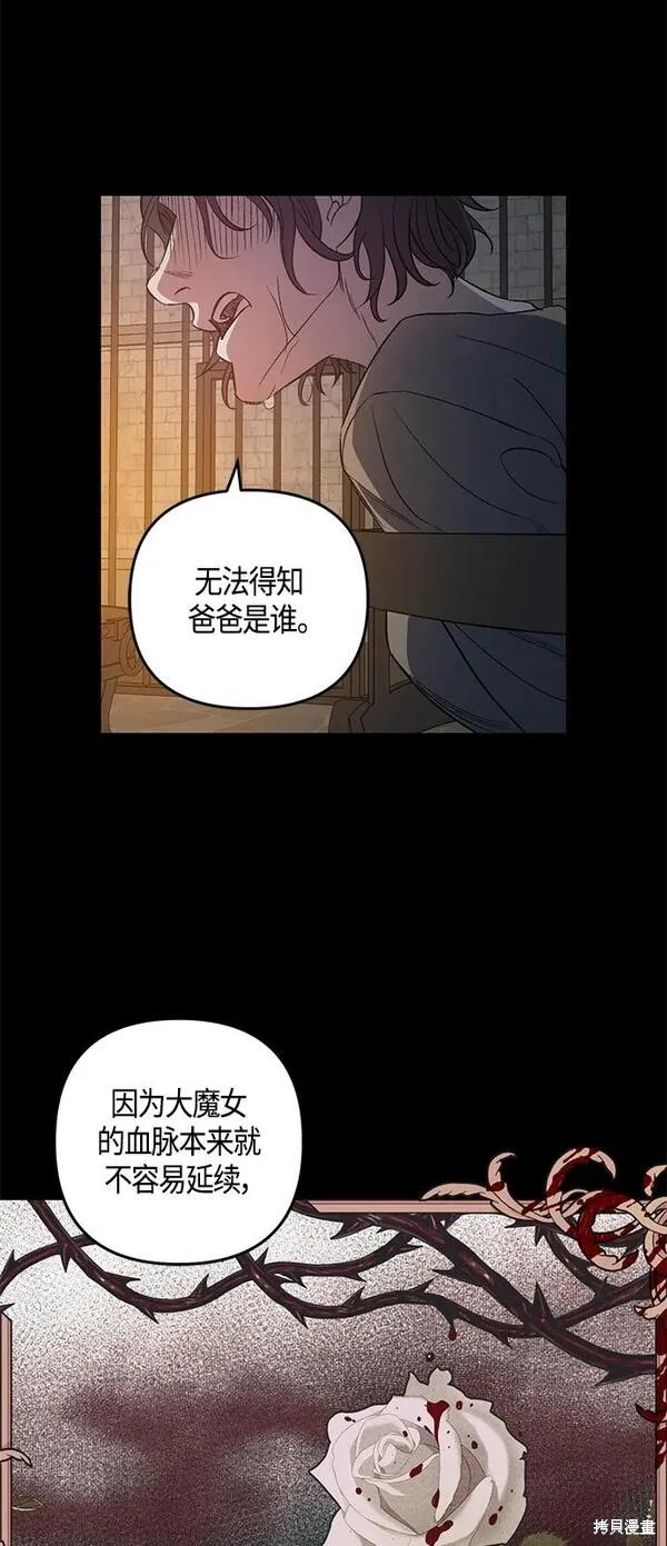 圣者为王25完整版漫画,第13话2图