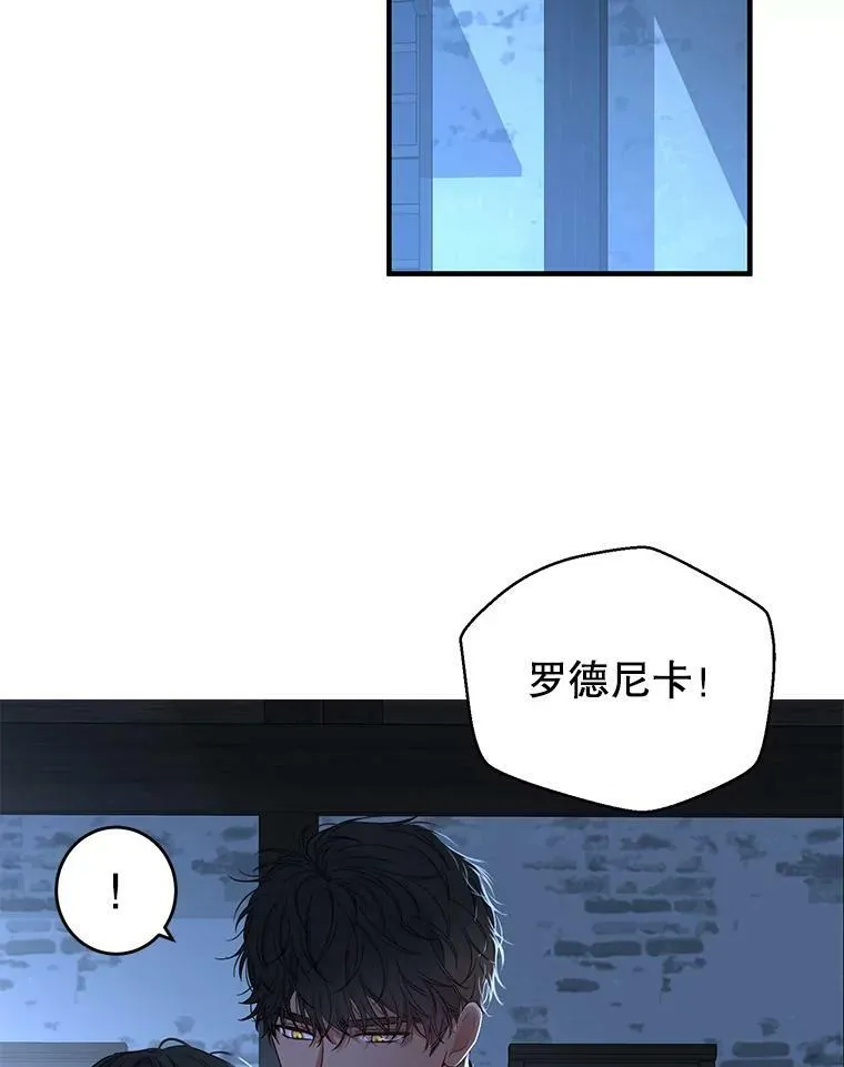 偶然开启女尊游戏漫画,61.罗德尼卡的献身2图
