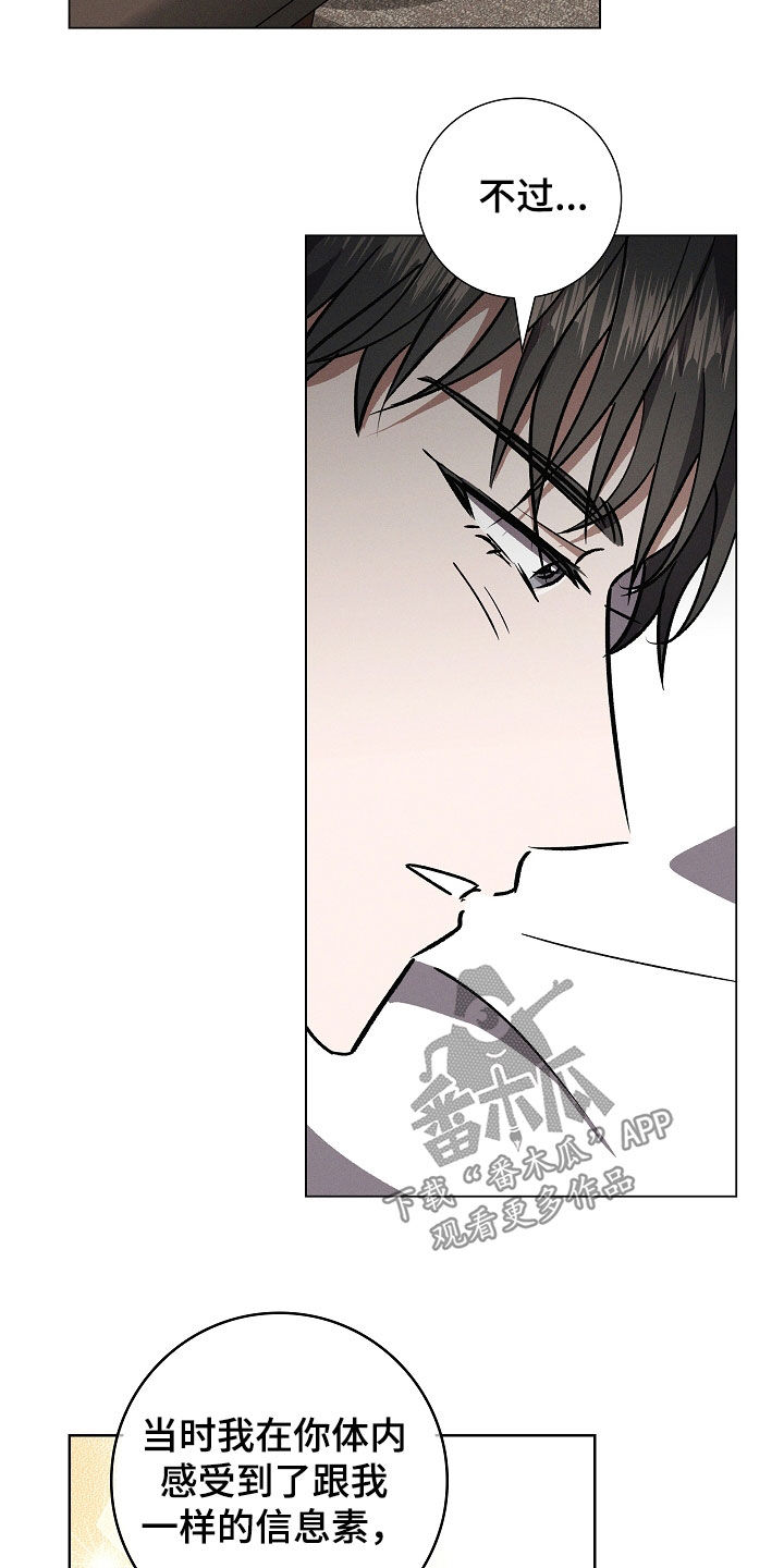 我的太子妃很凶的全文漫画,第106话5图