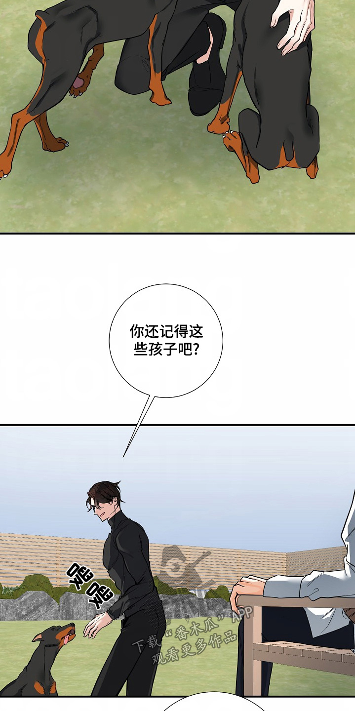 狩猎之夜那个杀手到底是谁扮演的漫画,第42话4图