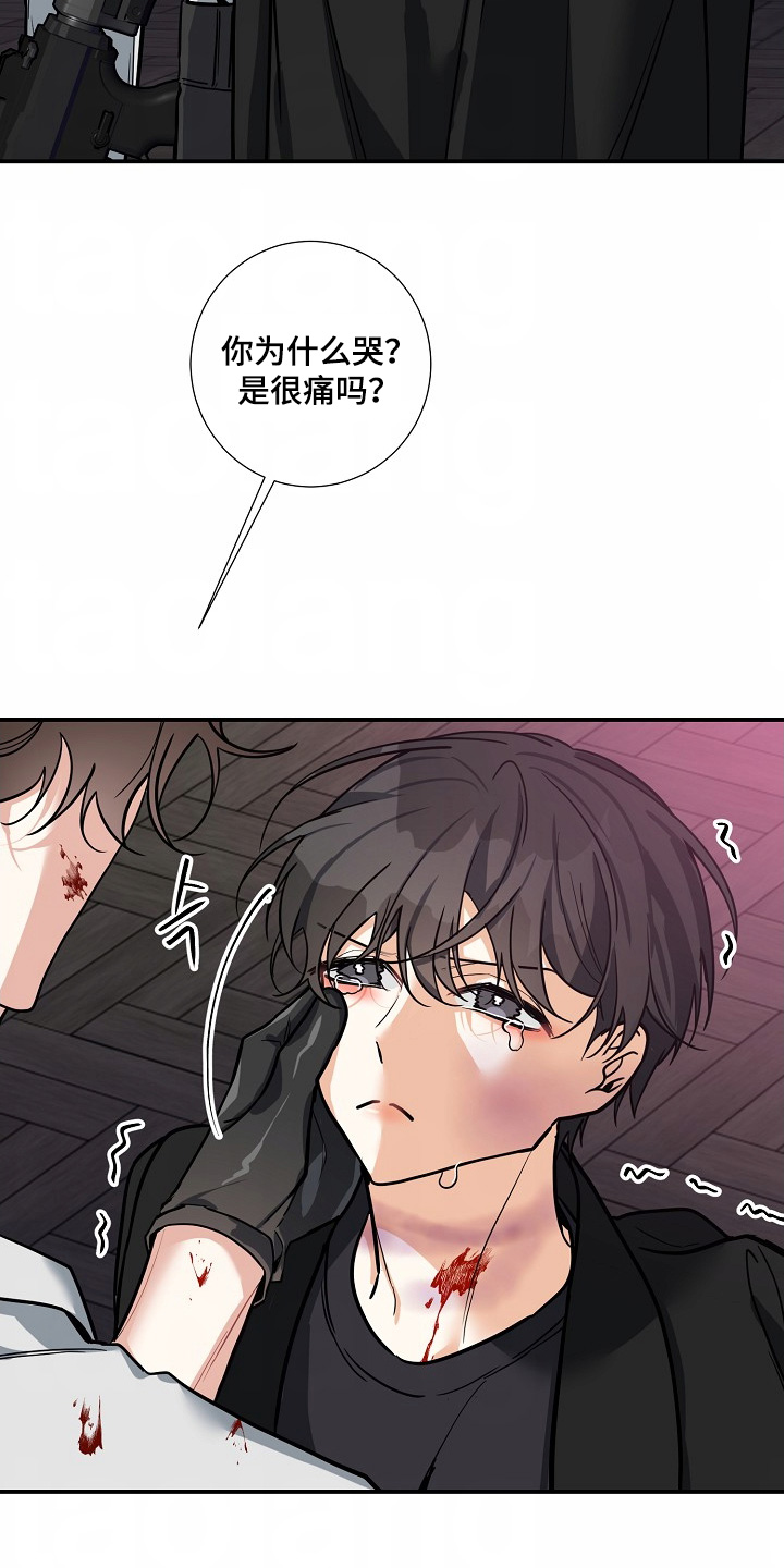 狩猎之夜电影剧情漫画,第49话5图