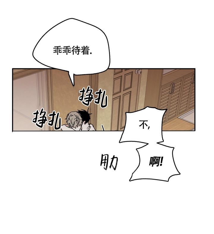 等价交换英文翻译漫画,第56话1图