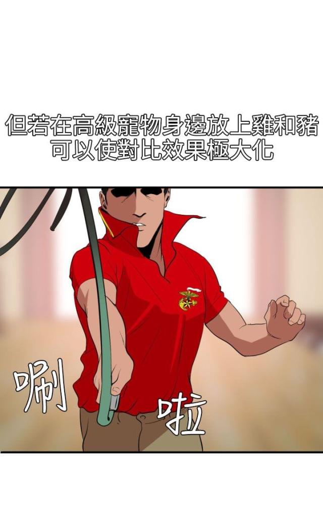 四个蛋挞皮放几个鸡蛋漫画,第50话5图